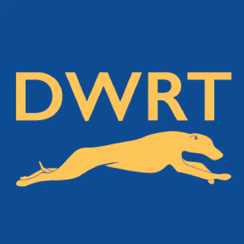 Dashing Whippets Running Team Running Coach Dashing Whippets Running Team