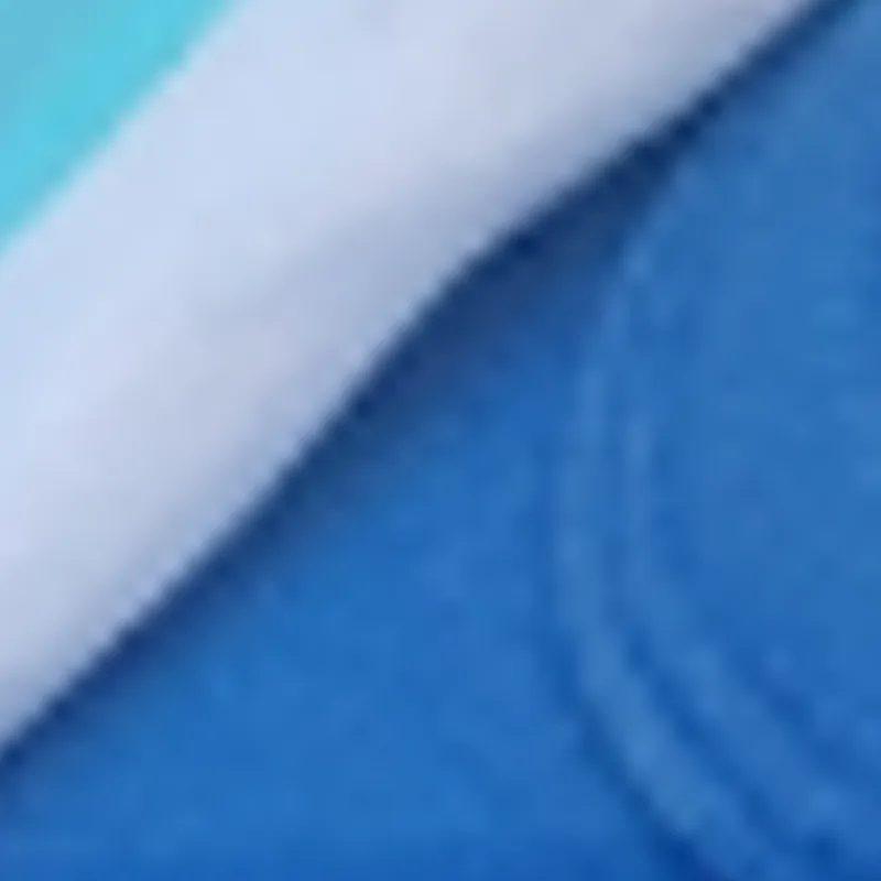 Rocio Carrera Clemente