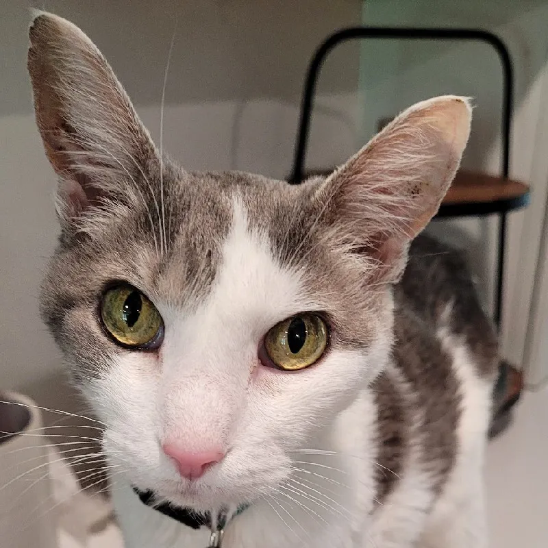 Megan Ulanich-Overbey