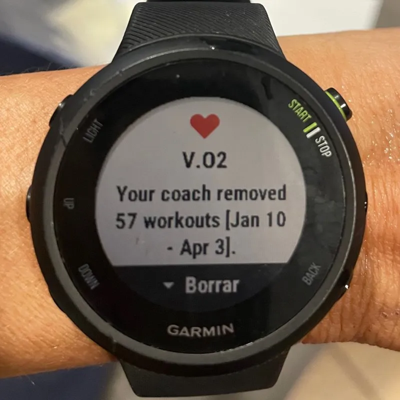 Rosalind E. Carrión Meléndez