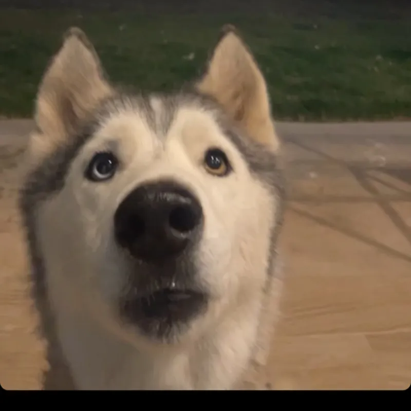 Onnarin Yongkiatkarn