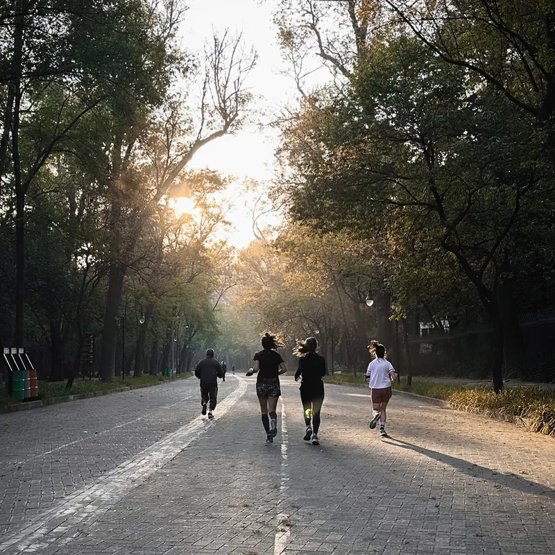 Jimena Ortiz Stierle