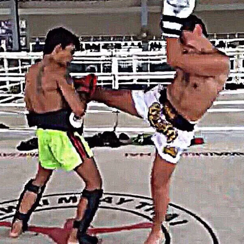 Altamirano Altamirano