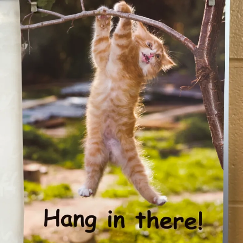 Matthew Kolodzieczyk