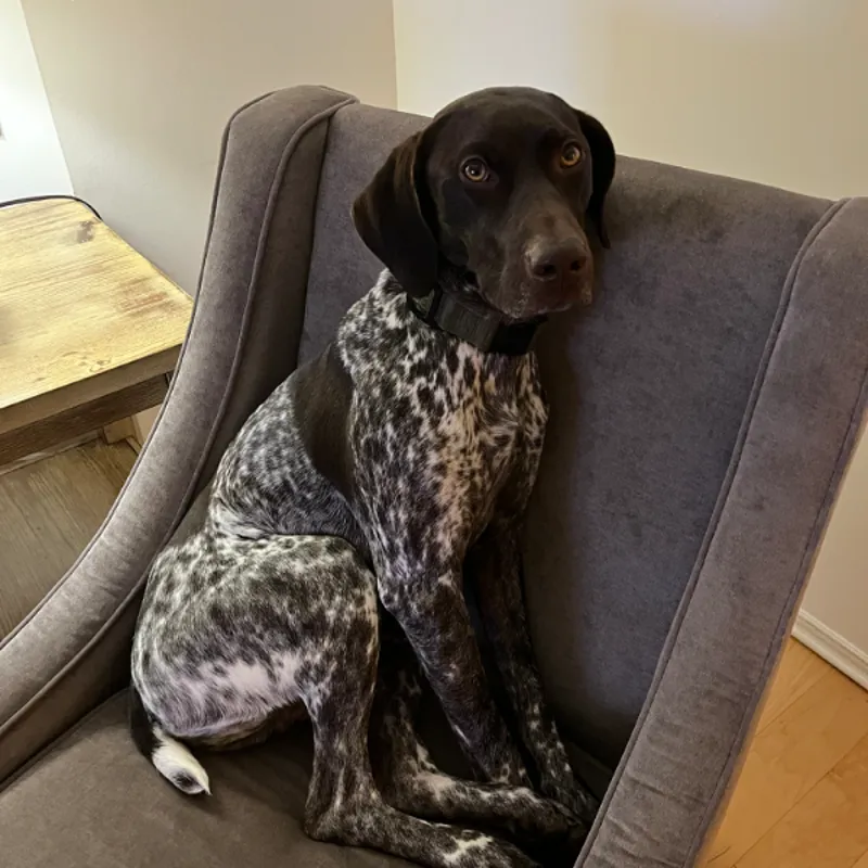 Michael Lacey Mostoway