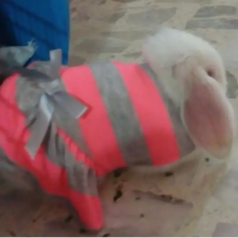 Ximena Santoyo Jaramillo