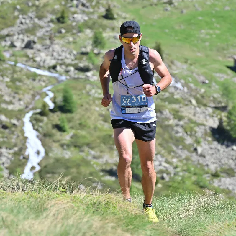 Kurzhaar di montagna