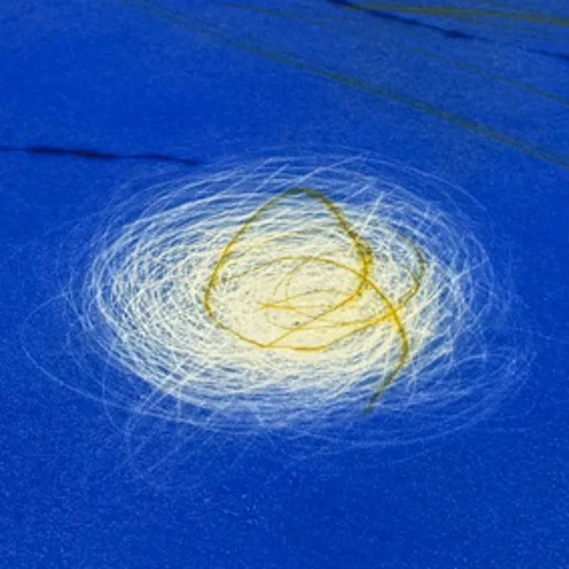 Marco Antonio  Prieto Lozano