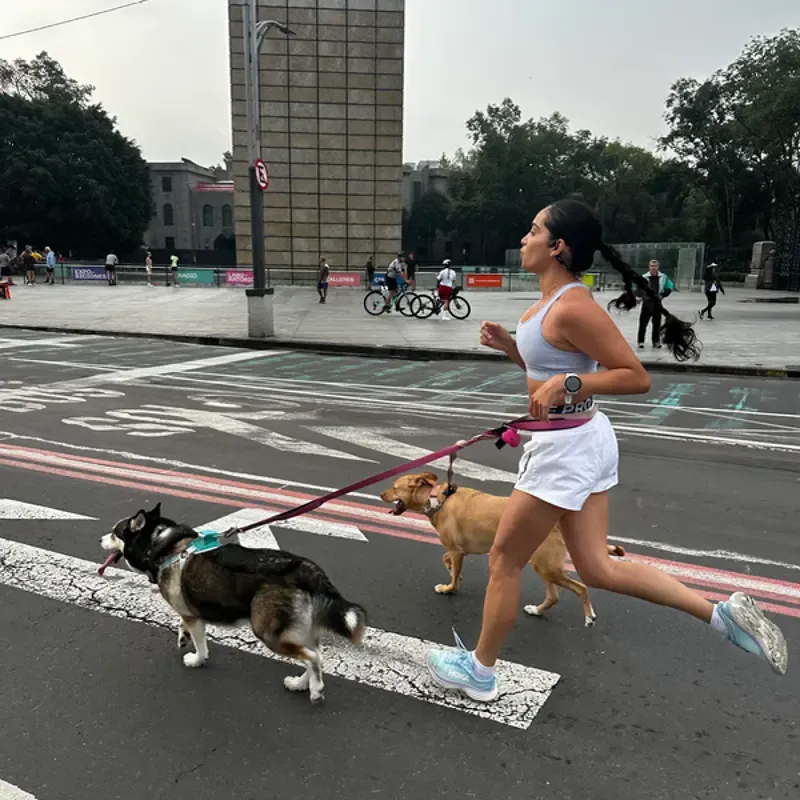 Jimena Arrieta Pettersen