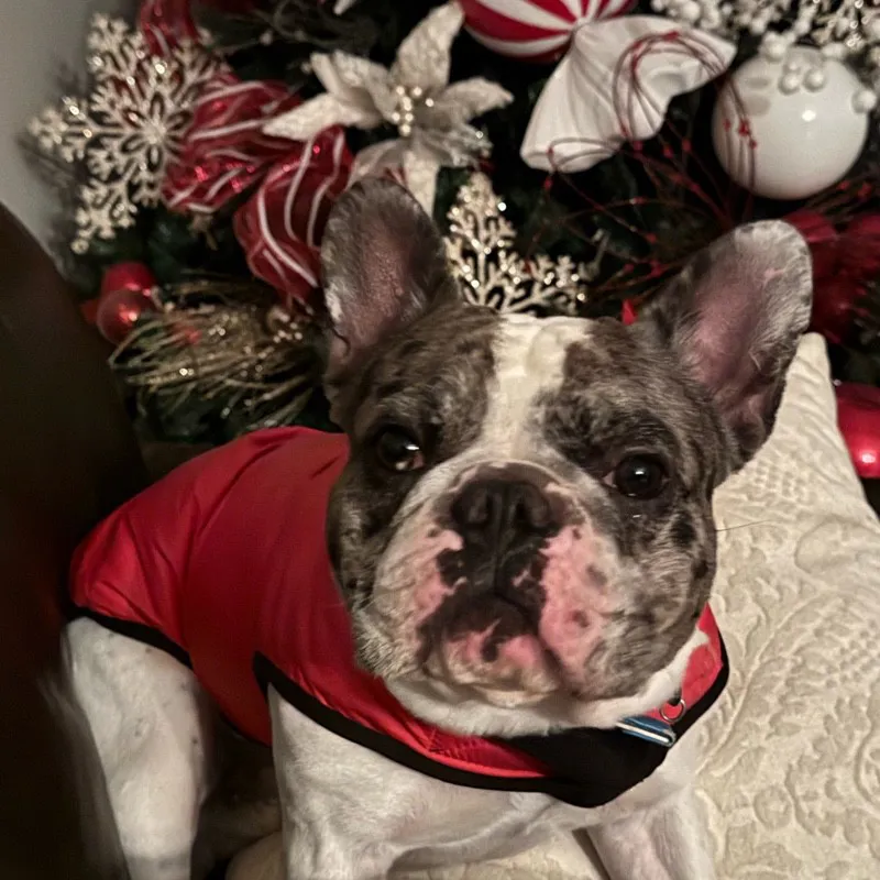 Wendy Inzunza salazar