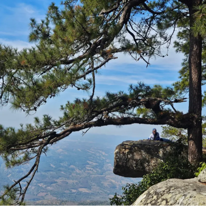 Sirima Tongtaweechaikij