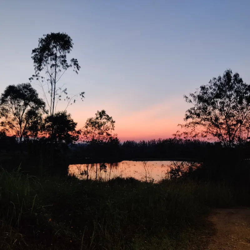 phatthanadon ruangwattanakul