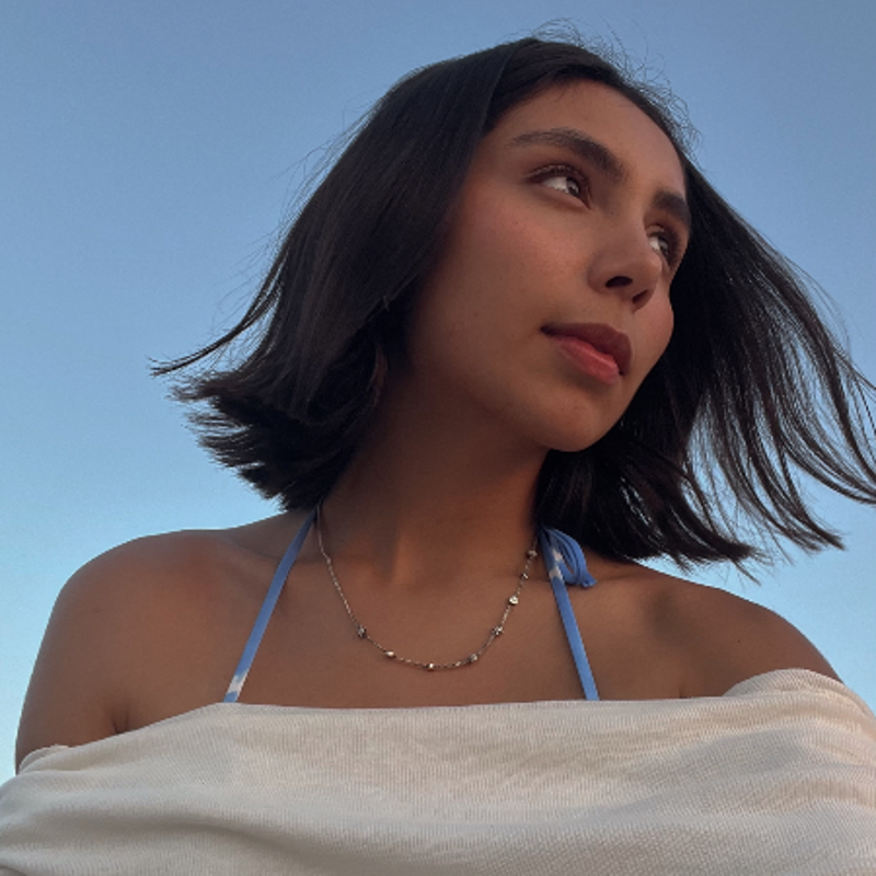 Marian Adlai Monroy Arriaga