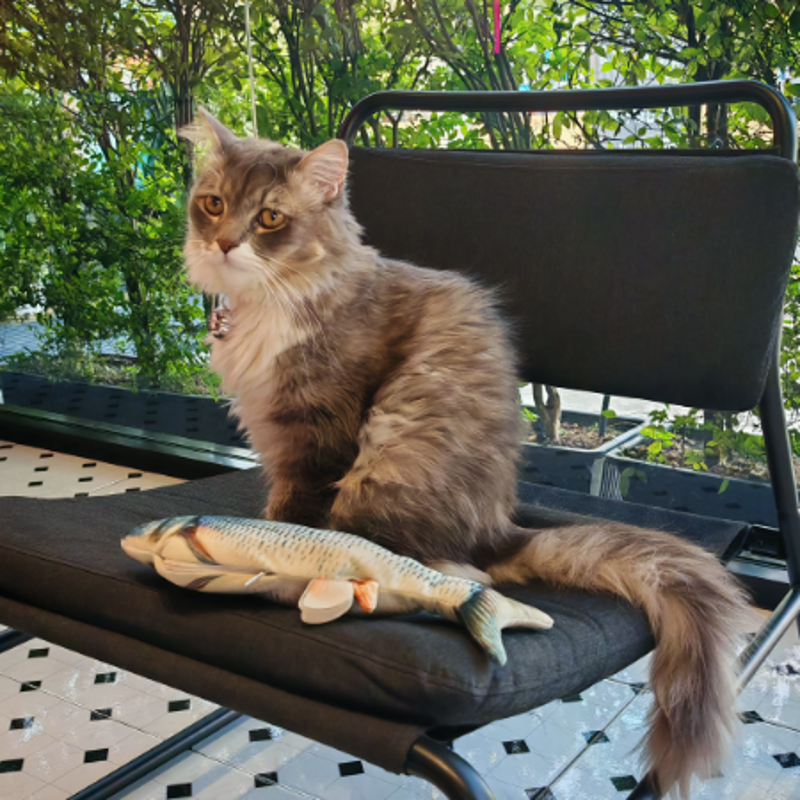 Wichakorn Junprasert