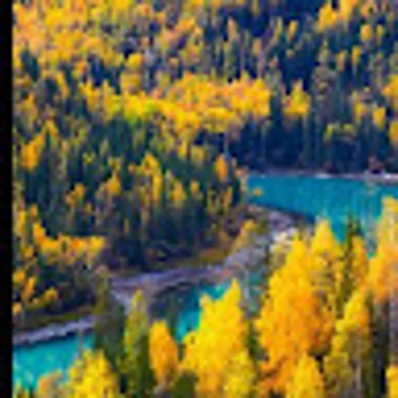 Наталья Шарлина