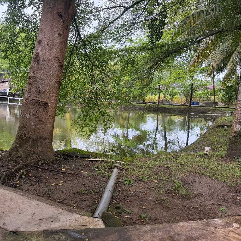 Devano Dirgantara Halim