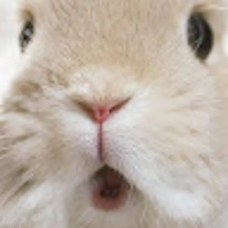 ชยุตม์ อรุณแสง