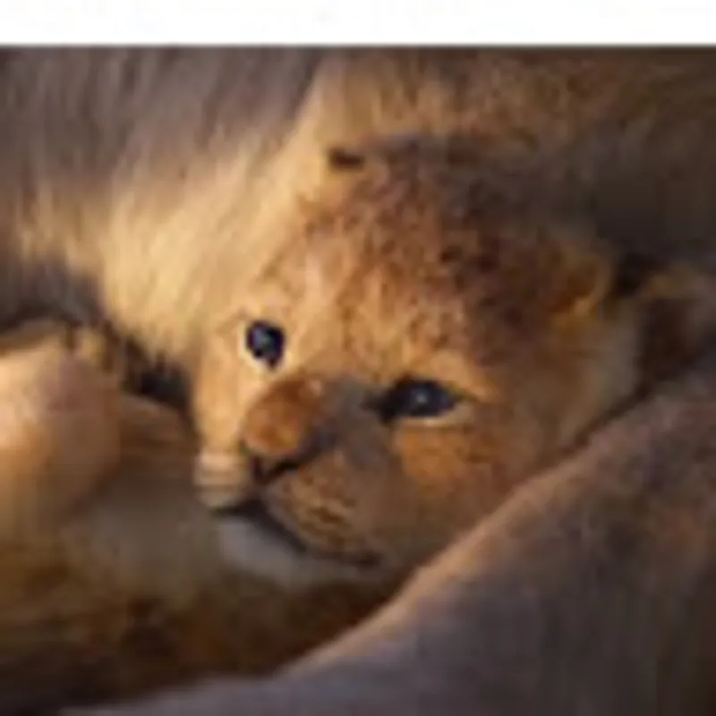 Rinlapat Lattasaksiri