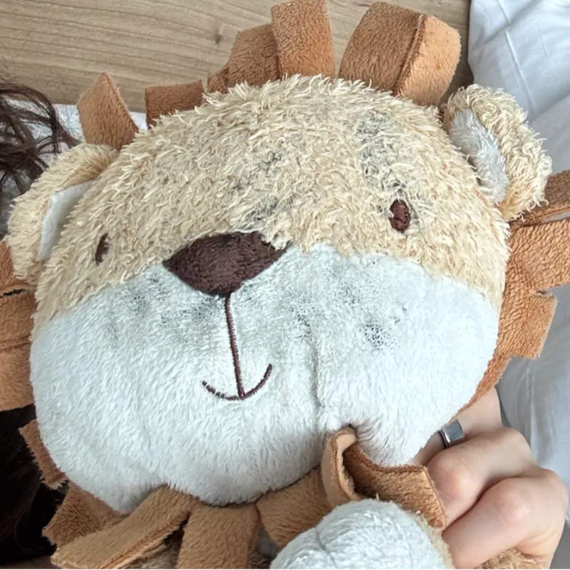 Shannon Walsh Burrows