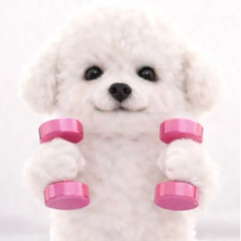 TingTang C Chaiyawat