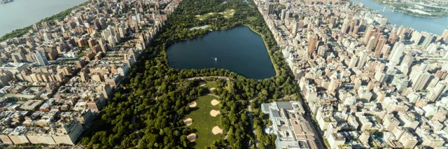 TEAM CHAMPS
